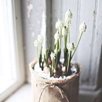 TCT Asia 2026丨“荔湾增材”携...